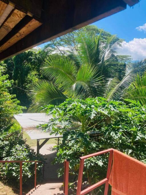 Ohana Location Ravissant Appart Spacieux Parking Gratuit A Uturoa Apartment Luaran gambar